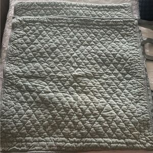 Pair of RARE Pottery Barn Aqua Washed Velvet and Silk Euro Shams